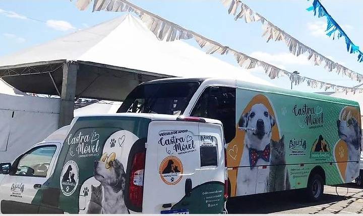 Betim se prepara para quebrar recorde nacional com megaevento de castração animal