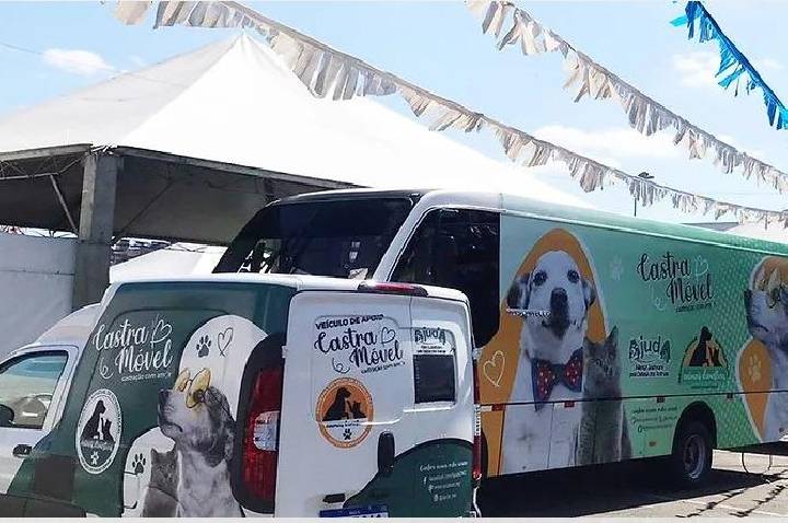 Betim se prepara para quebrar recorde nacional com megaevento de castração animal