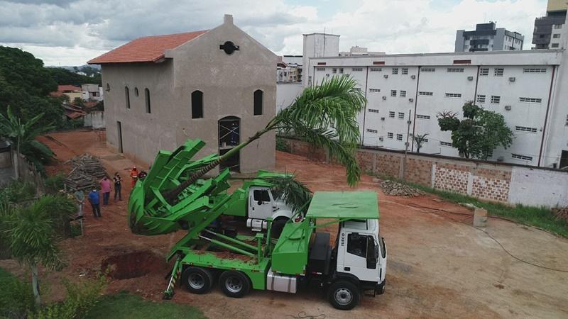 Betim adquire nova tecnologia para transplante de árvores