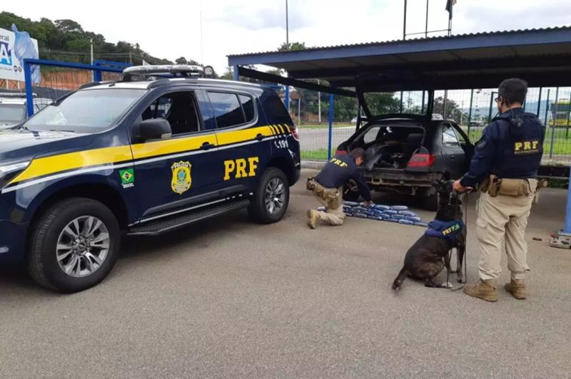 Cães farejadores da PRF encontram 24 quilos de haxixe dentro de carro, em Betim