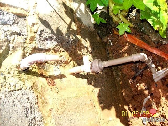 Consumidor que confessar gato não será multado pela Copasa