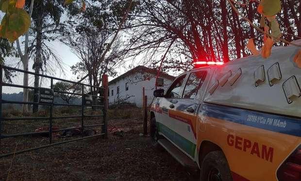 Homens são presos por roubar e matar vaca prenha em Betim