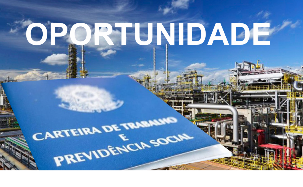 Amanhã é dia de conseguir o tão sonhado emprego e terminar 2023 com carteira assinada