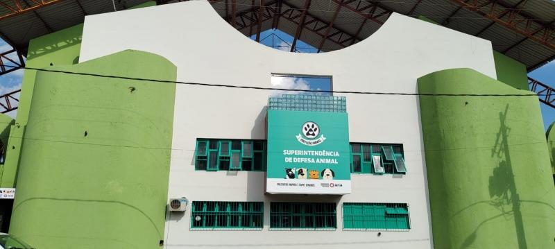 Prefeitura vai pegar pesado contra quem maltrata animais em Betim