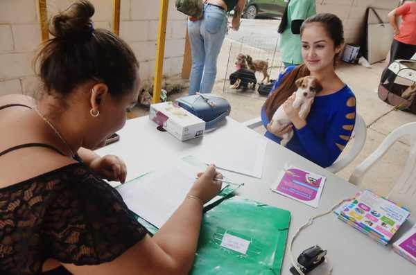 Sábado é dia de Adoção de Cães e Gatos em Betim