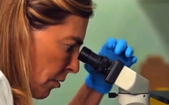 O milagre da regeneração nervosa na recuperação da mobilidade de pessoas com paraplegia e tetraplegia