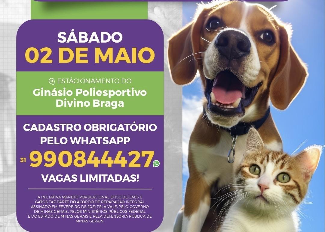 Betim se prepara para o maior evento gratuito de castração de PETS do Brasil